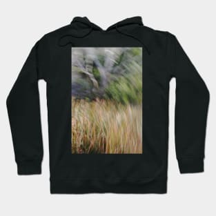 Grassland Hoodie